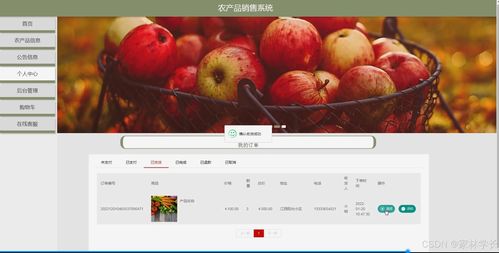 農(nóng)產(chǎn)品銷售系統(tǒng) 計算機畢業(yè)設(shè)計全攻略